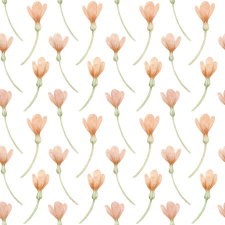 Watercolor pattern with pink crocuses isolated on a white background. Gentle spring collection of...