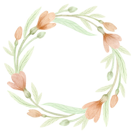 Watercolor frame with pink crocuses isolated on white background. Gentle spring collection of hand drawn illustrations. Can be used in wrapping paper, textiles, greeting cards.の写真素材