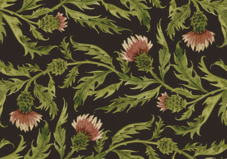 Vintage watercolor pattern with pink thistle. Wild flowers hand drawn illustration. Meadow herbs on brown background.の写真素材