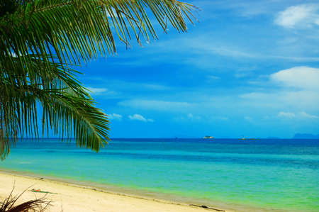 Beautiful tropical beach with palmtrees.