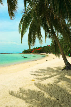 Beautiful tropical beach with palmtrees.の写真素材