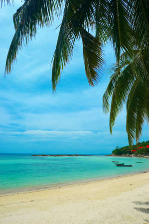 Beautiful tropical beach with palmtrees.