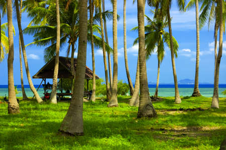 Beautiful tropical beach with palmtrees.の写真素材