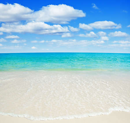 Beautiful tropical white sand beach.の写真素材