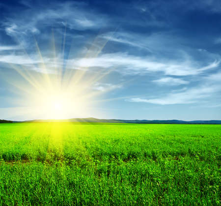 Beautiful summer landscape. Sky and grass.の写真素材