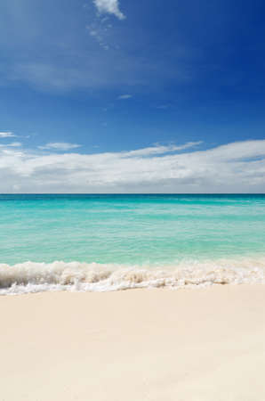 Tropical white sand beach and blue sky.の写真素材
