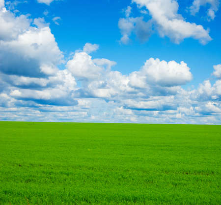 beautiful summer landscape. grass and sky.の写真素材