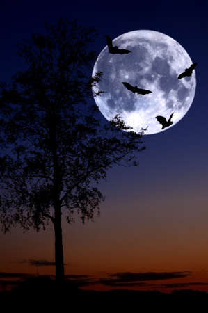 bat's from tree over full moonの写真素材
