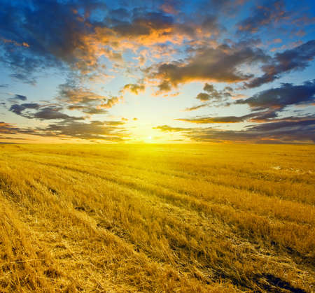 Beautiful landscape. Sky and grass.の写真素材