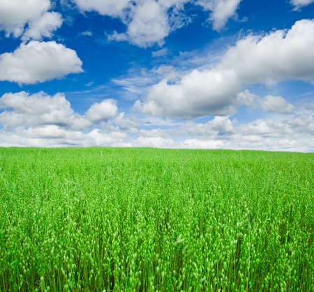 Beautiful summer landscape with cloudy sky.の写真素材