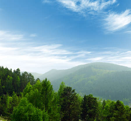 Summer mountains landscape with trees.の写真素材
