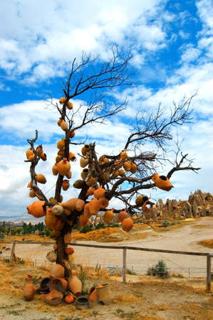 old pottery tree in cappadociaの写真素材