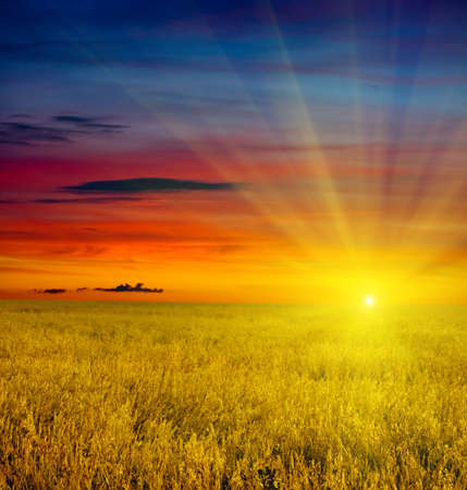 Beautiful autumn sunset on field.の写真素材