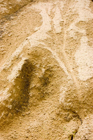Yellow tufa. Stone texture. Close-up.の写真素材