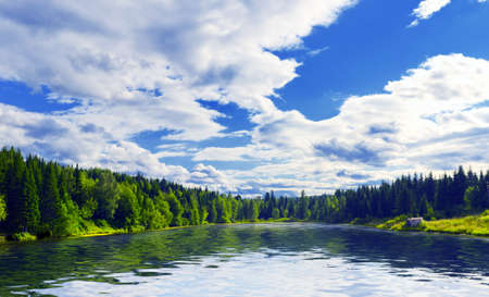 Summer lake near the forest.の写真素材