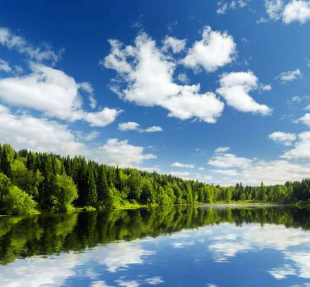 Summer lake near the forest.の写真素材