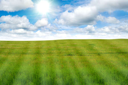 beautiful green meadow and blue skyの写真素材