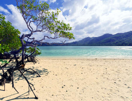 Beautiful tropical seascape. Sky and sea.の写真素材