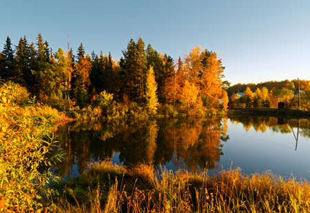 Lake in sunset rays. Autumn landscape.の写真素材