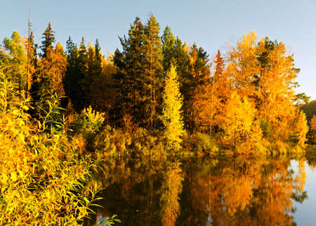 Lake in sunset rays. Autumn landscape.の写真素材