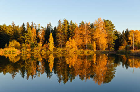 Lake in sunset rays. Fall landscape.の写真素材