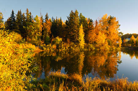 Lake in sunset rays. Autumn landscape.の写真素材