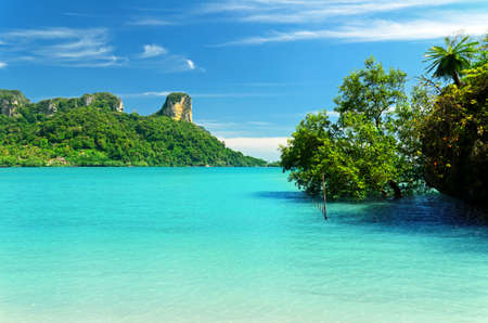 Beautiful tropical landscape. Krabi province, Thailand.の写真素材
