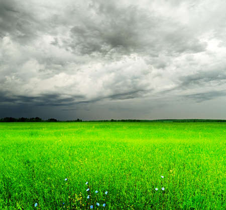 Stormy sky over the green field.の写真素材