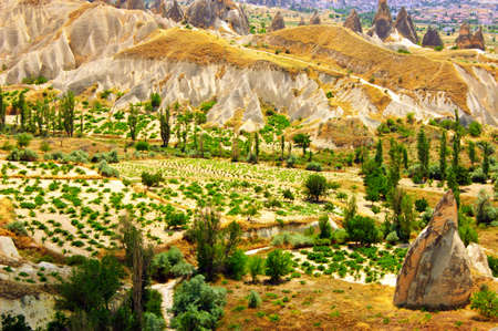 Magnificent rock landscape. Cappadocia, Turkey.の写真素材