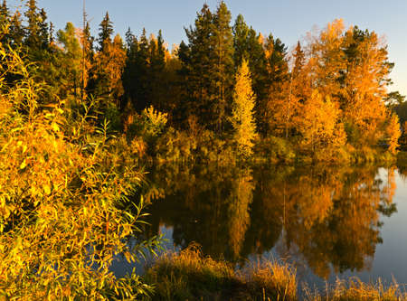 Lake in sunset rays. Autumn landscape.の写真素材