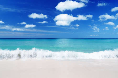 Tropical beach. Blue sky and clear water.の写真素材