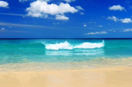 Tropical beach. Blue sky and clear water.の写真素材