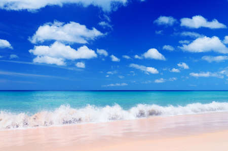 Tropical beach. Blue sky and clear water.の写真素材
