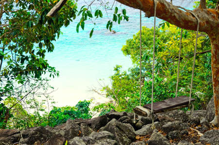 Green jungle on beach background. の写真素材