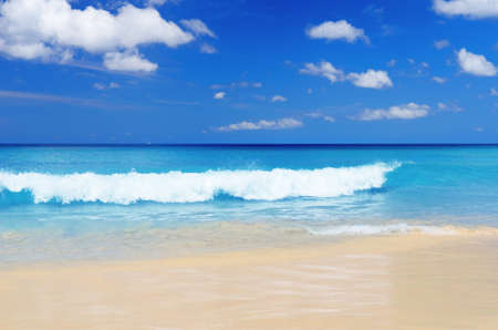 Tropical beach. Blue sky and clear water.の写真素材