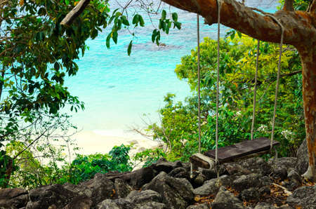 Green jungle on beach background. の写真素材