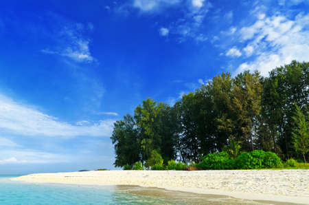 Tropical beach  Blue sky and clear water の写真素材