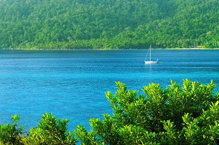 Beautiful tropical landscape  Lipe island, Thailand の写真素材