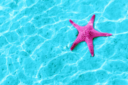 Starfish in blue water with light reflection.の写真素材