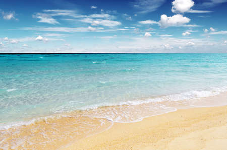 Tropical beach. Blue sky and clear water.の写真素材