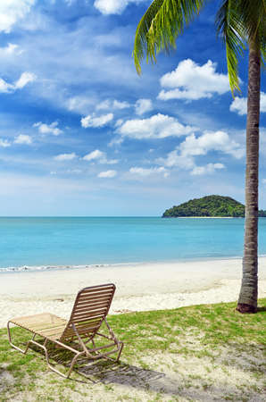 Green tree on a white sand beach の写真素材