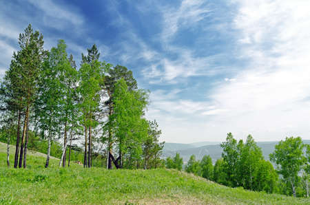 Summer landscape. Green hill and blue sky.の写真素材