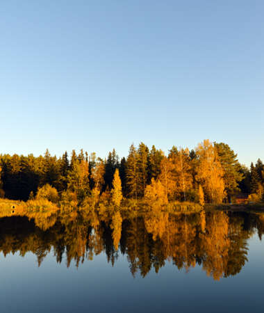 Autumn forest and lake in the fall season.