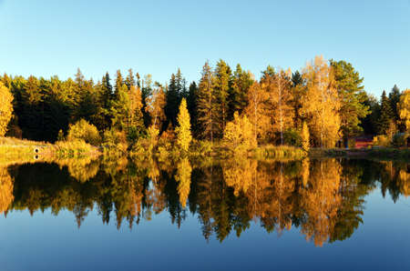 Autumn forest and lake in the fall season の写真素材