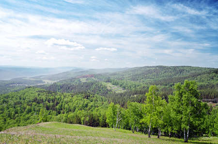 Summer landscape  Green hill and blue sky の写真素材