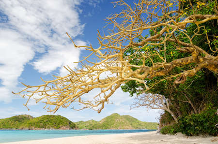 Beautiful tropical sea under blue sky.の写真素材