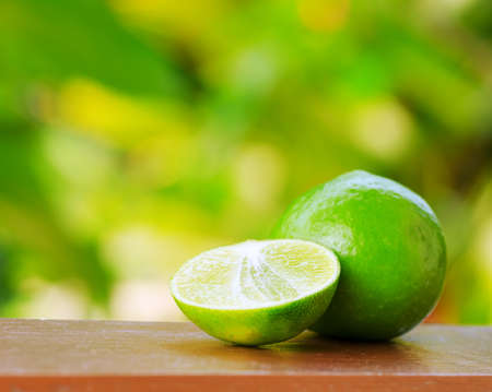 Green lime in a garden. Shallow DOF.の写真素材