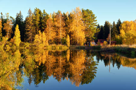 Autumn forest and lake in the fall season.の写真素材