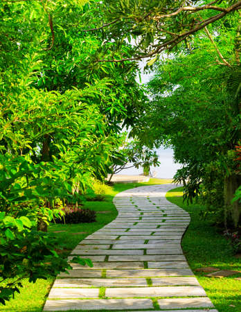 Way to beach in tropical resort の写真素材
