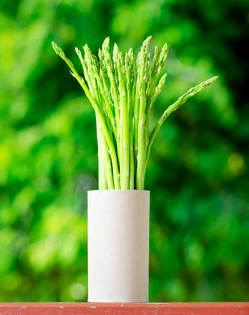 Fresh green asparagus in a garden の写真素材